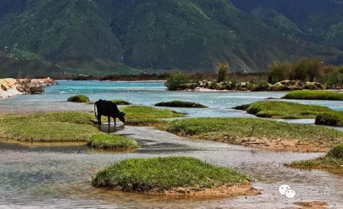 一个人走川藏线