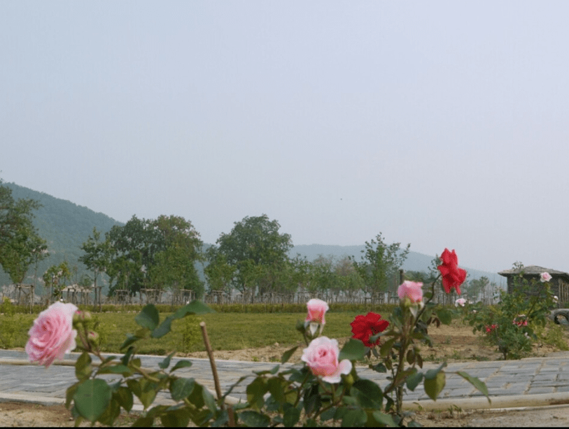 探寻辽宁东港市--旅游攻略景点必去的地方