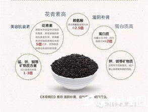 黑谷有机酒 喝出健康的酒