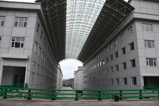 加快项目建设,推动振兴发展 我市开展新一轮 三早 项目巡检