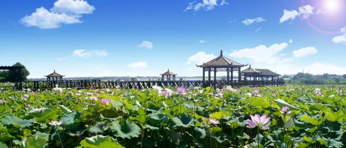 一场诗意般的生活美学, 镇 向你翩然走来