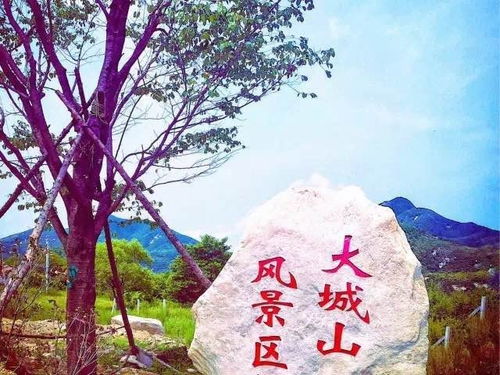 5月19日 丹东部分景区门票免费或半价开放