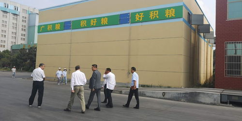 蜂狂购执行总裁徐子超赴山东尽调拟并购企业新东谷面粉厂