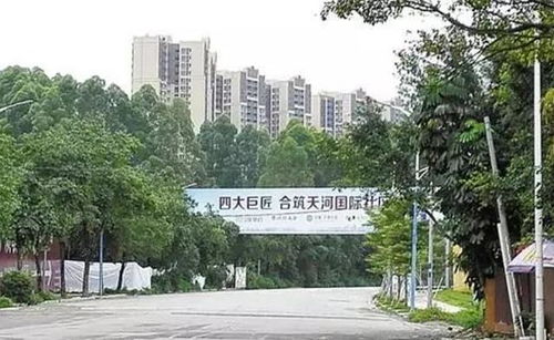 6字头的牛奶厂,跌到谷底了