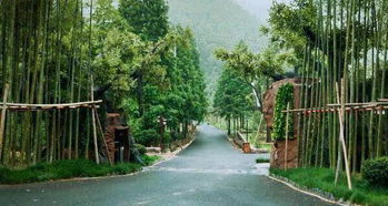 莫干山亲泉谷精品民宿 含双早 莫干山精品民宿度假两天一晚,亲子,团建,朋友聚会