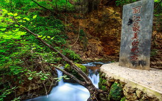 云南金沙谷3日游攻略 旅行达人的私藏秘境
