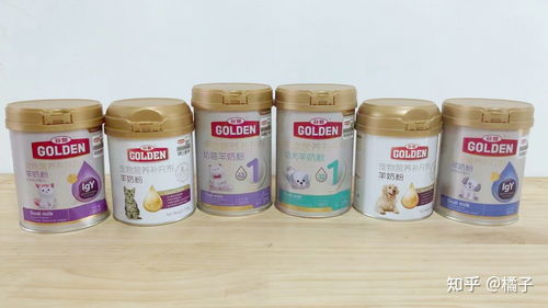 国货之光 金沙谷登，引领宠物食品行业新标杆