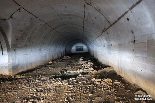 重装穿越原始森林不为参观废弃的兵工厂 看金莲花,只为寻找老虎和金钱豹踪迹