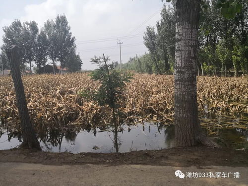 FM93.3汇集社会爱心走进灾区 寿光营口镇陈家营村金沙谷的温暖行动