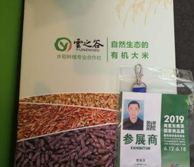 云之谷农业 金沙谷产品引领绿色农业新篇章